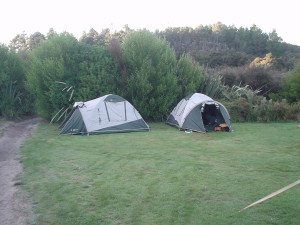 エイベル・タズマン国立公園　カヤックツアー　その２